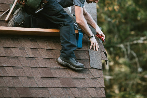 Best Roof Gutter Cleaning  in Cleveland, TX